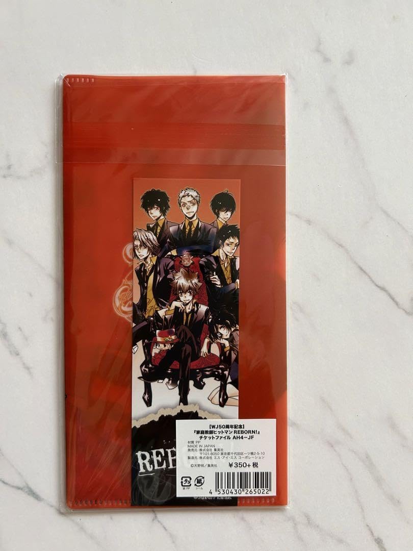 家庭教師ヒットマン REBORN！ JF ファイル ツナ プリーモ 骸 家庭教師