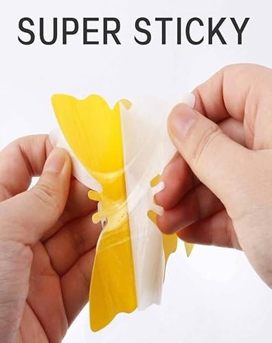 Miniatura 6 de Zevo - Recambio de trampa para insectos voladores, 2 unidades (paquete de 2), juego con (4) piezas de trampa exclusiva Fusion Shop Store moderna