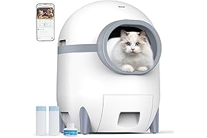 Self Cleaning Cat Litter Box: Ultimate Feline Sanitation Solution