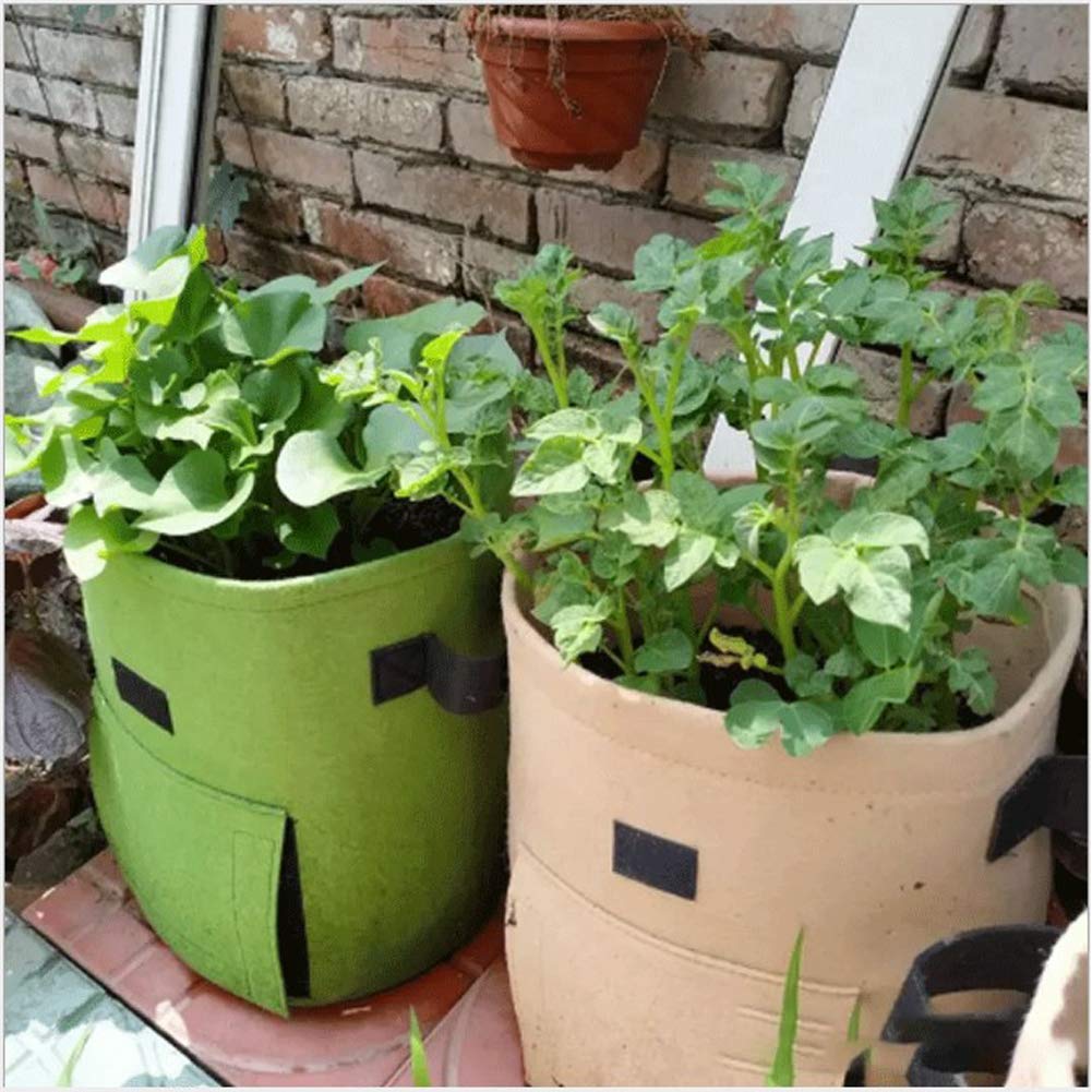 Sacs de Culture de Pommes de Terre avec Rabat et poignées, Paquet de 3 Sacs de Plantation de légumes 4/7/10 gallons, Sacs de Culture de Jardin en Tissu Non tissé/33/1851