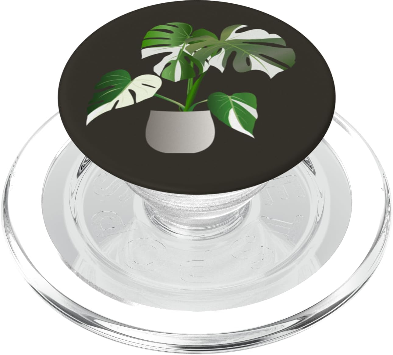 Albo Monstera Deliciosa Rare Plants Gift Plant Lover Gifts PopSockets MagSafe PopGrip for iPhone