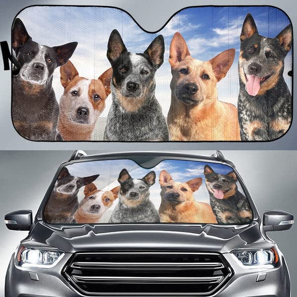 Pare-brise protégé en été : pare-soleil voiture SUV chien australien