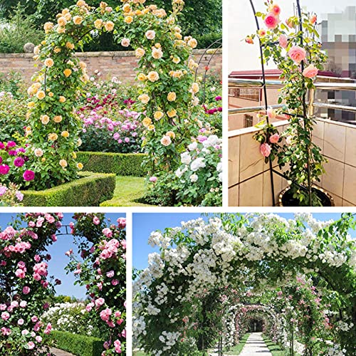 Arbor ogrodowy Pergola, metalowy łuk różany pnącza, łuk ślubny, ogrodzenie ogrodowe krata altanka odporna na warunki atmosferyczne, do ogrodu, ślubu, dekoracji imprez (kolor: czarny, rozmia