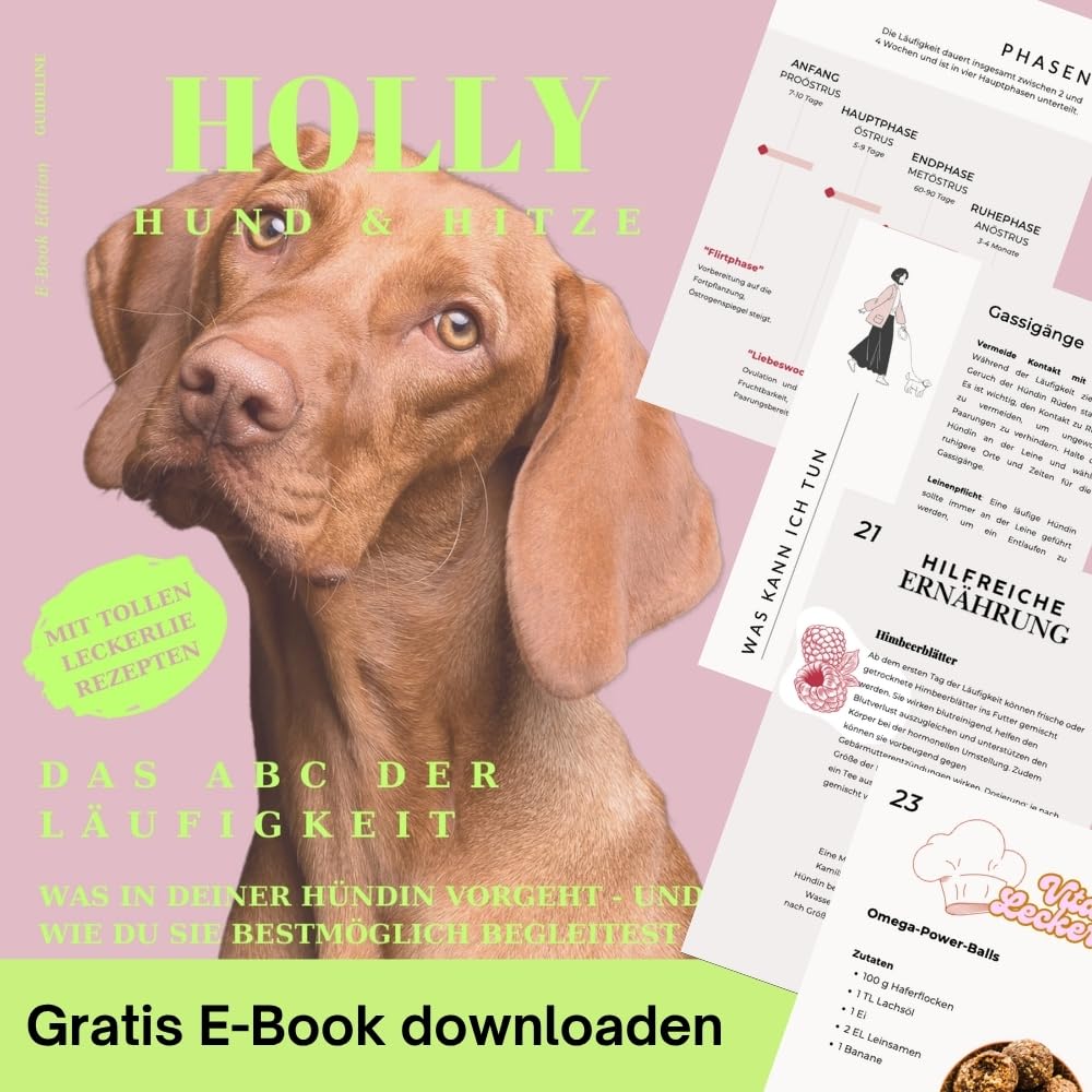 Holly Premium Hundewindeln für Hündinnen und Rüden 2er-Set, Läufigkeitshose mit Klettverschluss waschbar bei Inkontinenz, Läufigkeit - Oeko-TEX Baumwolle, Hunde- windel weich & atmungsaktiv