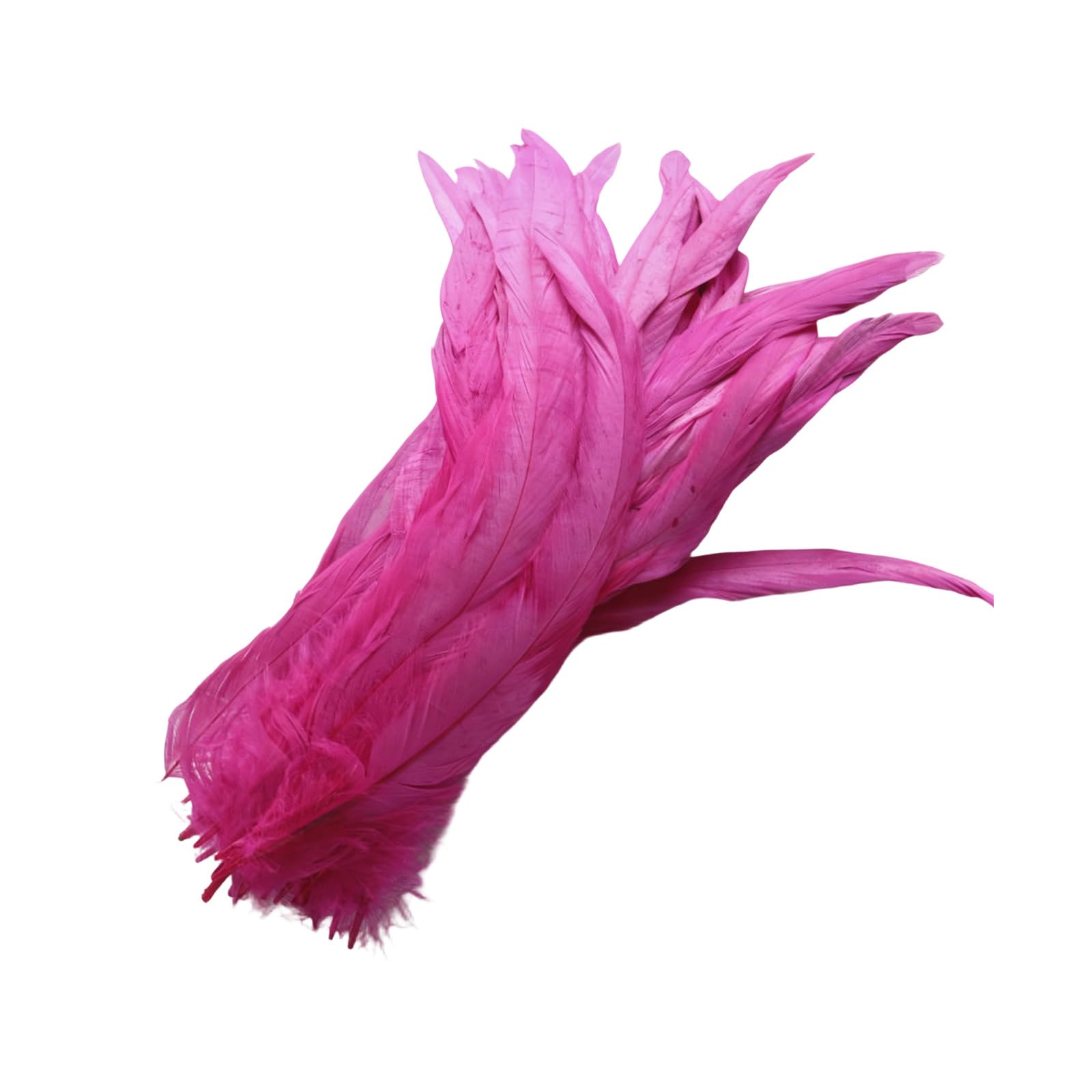 Buxuaaaa Rose Of 40Pcs 25 30Cm Long Natural White Plumage For Clothing Accessories And Home Decoration Long Craft Quills