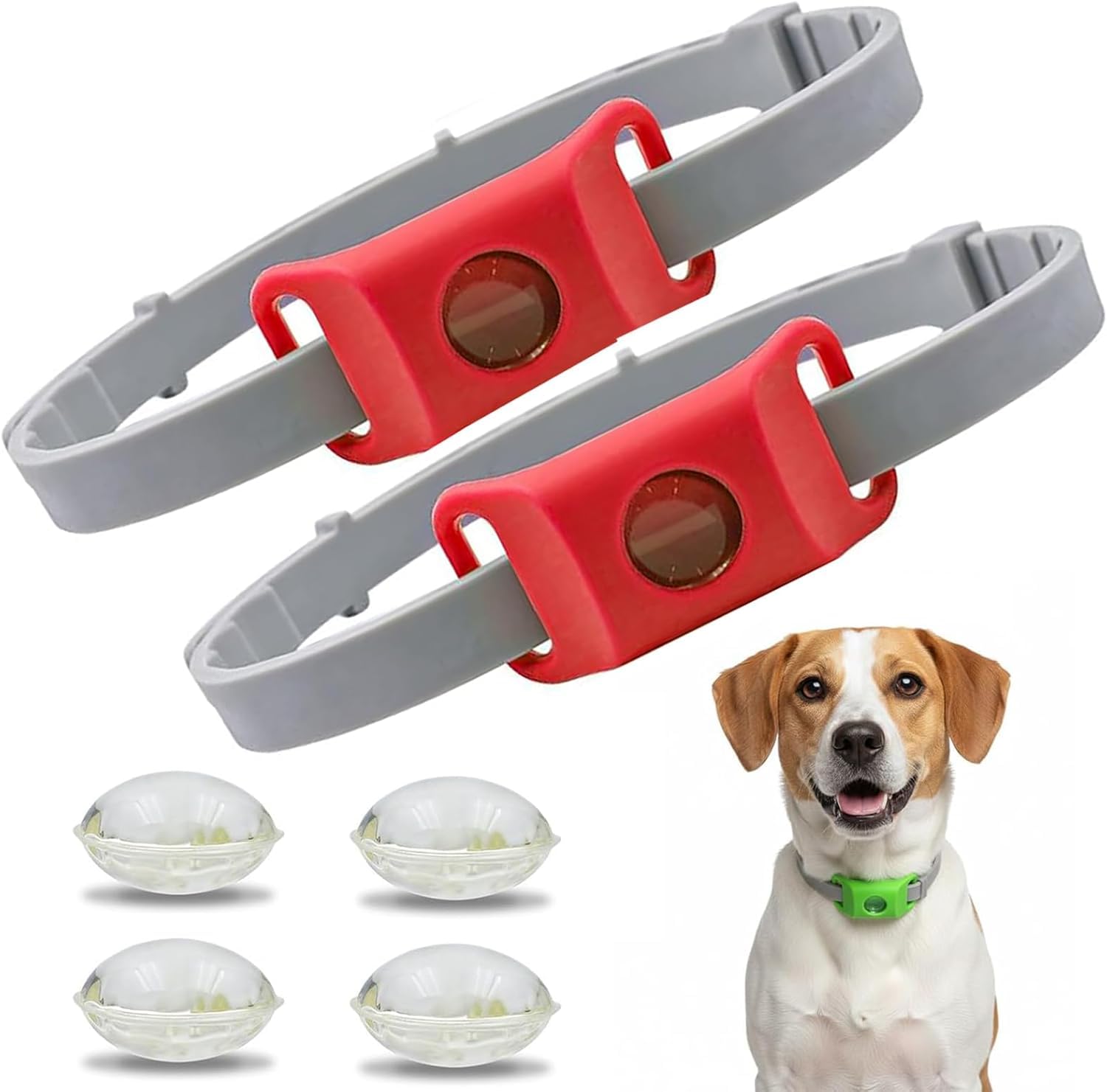 Collier anti puce chien pour des balades en forêt sereines avec support AirTag intégré