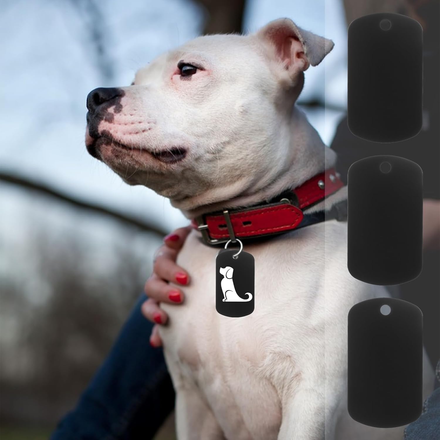 100Pcs Blank Dog Tags for Engraving, Anodized Aluminum Blank Tags Keychain Blanks Metal Tag for Engraving Stamping (Black)
