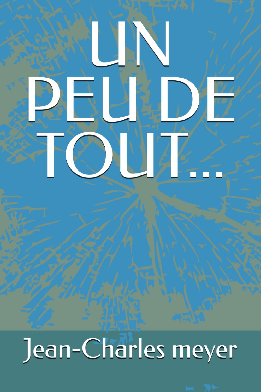 UN PEU DE TOUT: mais pas n'importe quoi.!
