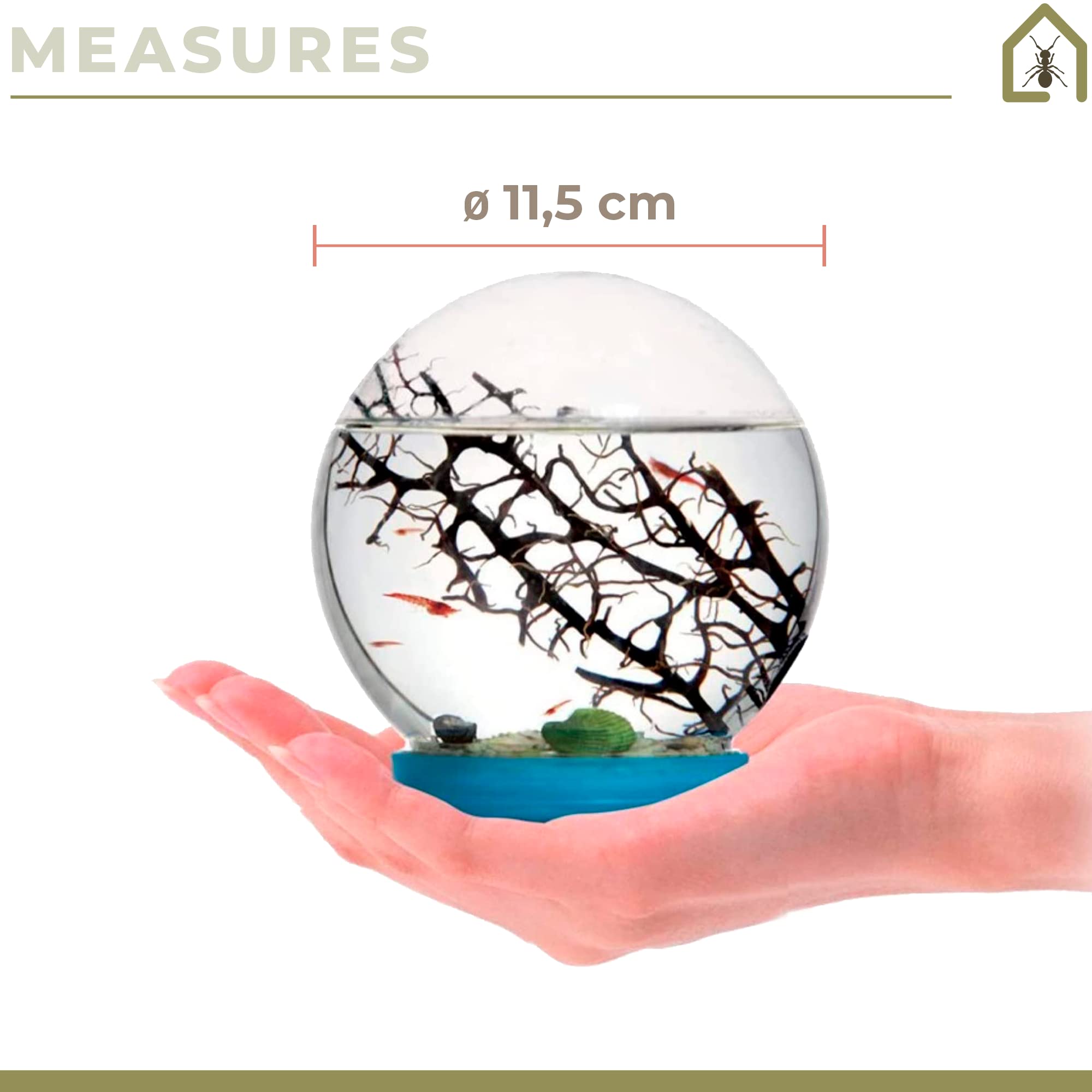 AntHouse - Gambario, Ecosistema Acuático Cerrado con Gambas Incluidas, Biosfera Marina