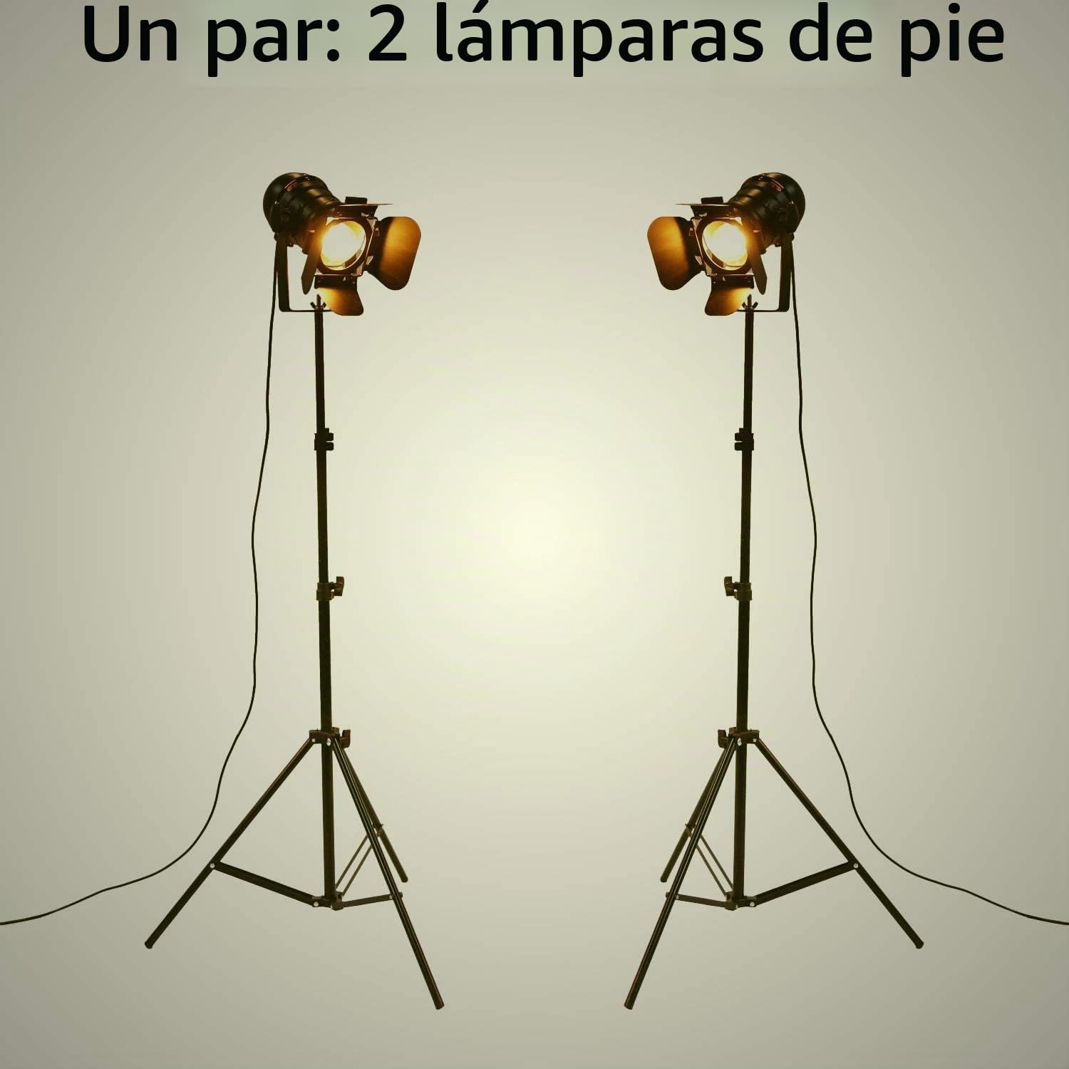 Industrial Vintage LED Lámpara de pie No regulable Full Spectrum Luz natural de pie con trípode Cuello de cisne para sala de estar Dormitorio de coser Office Bar Lighting Paquete de 2