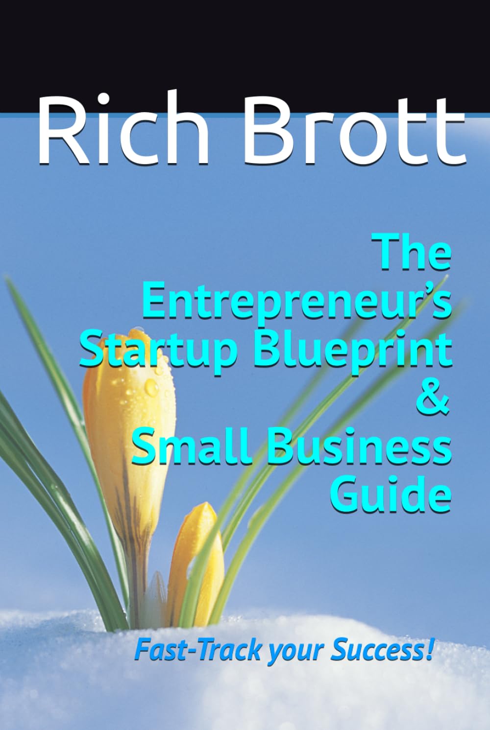 The Entrepreneur’s Startup Blueprint & Small Business Guide: Fast-Track your Success!