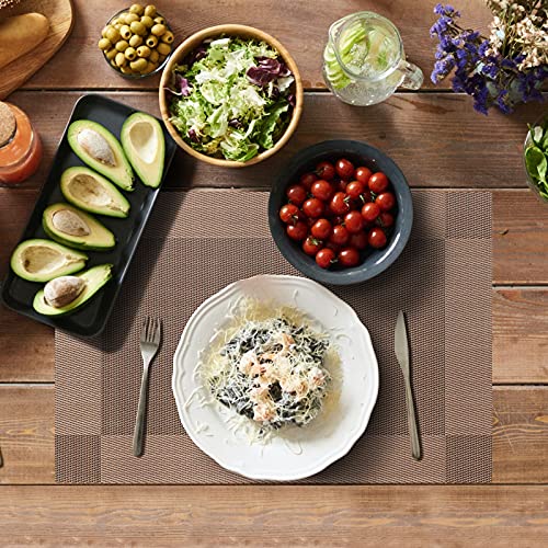 Image of Aofmee Placemats Set of 4, Heat Resistant Place Mats, Washable Durable PVC Table Mats, Woven Vinyl Plastic Placemats for Dining Table, Non-Slip Stain Resistant Kitchen Table Placemats, Easy to Clean