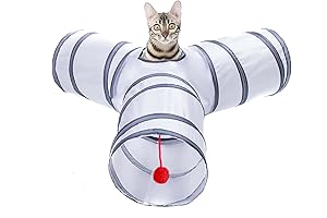Interactive Cat Tunnel: Playful Haven for Curious Kitties