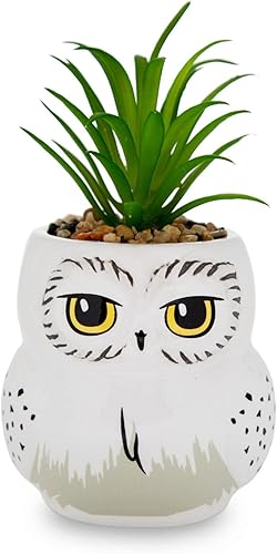 Harry Potter Hedwig - Mini maceta de cerámica de 3 pulgadas con suculentas artificiales  Maceta pequeña, plantas de interior sintéticas para estante
