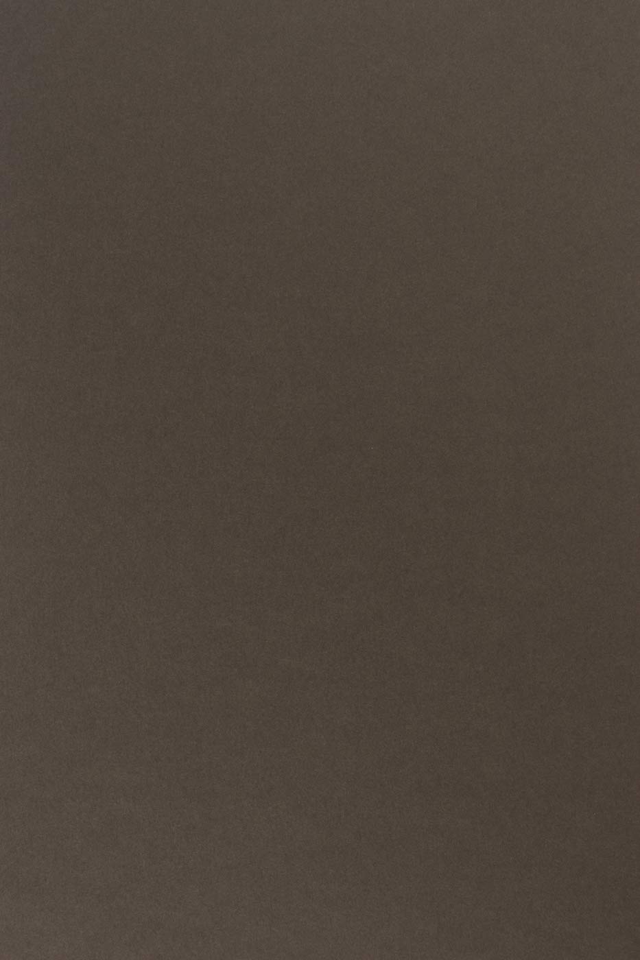 Netuno 100x Brown Coloured Paper A4 210 x 297 mm 8.3 x 11.7 in 170gsm Sirio Color Caffe Colourful Printable Card Craft Paper for DIY Projects cardmaking Invitations Greeting Cards Weddings — image 1