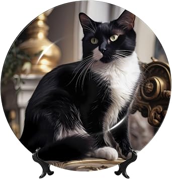 PHAYAH Black and White Cats Pattern Bone China Decorative Plate 8in with Display Stand Dinner Plates for Home Study and Entryway Office Decor