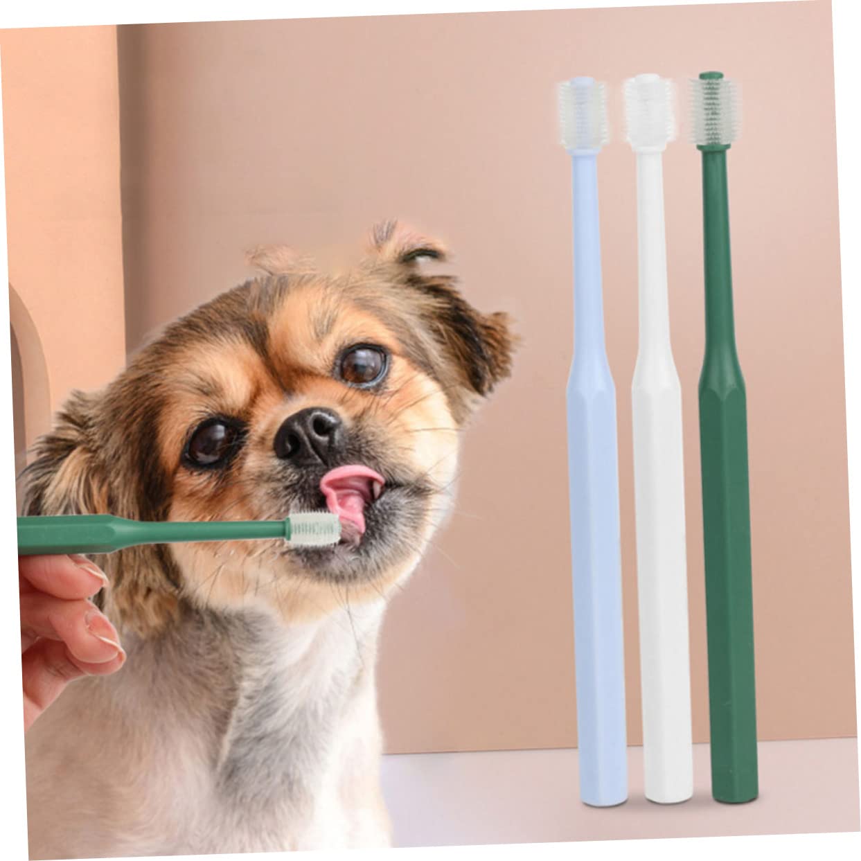 Sosoport 12pezzi Spazzolino Per Animali Domestici Setole Morbide Per Pulizia Denti Di Cani e Gatti Spazzolino Portatile e Tpe Per Orale Completa Degli Animali Domestici