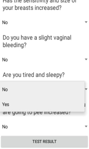 Pregnancy Test