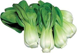 Burpee Toy Choy Dwarf Chinese Cabbage Seeds - 200 Non-GMO, Quick 30-Day Harvest, Perfect for Stir-Fry
