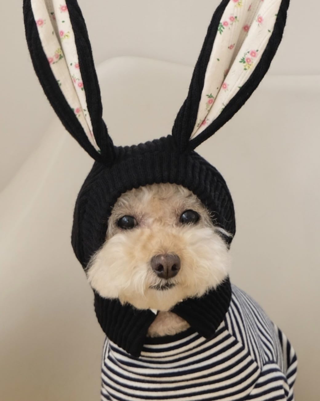 Rabbit Quiet Ears for Dogs, Dog Ear Muffs Noise Protection Knitted Dog Hats Pet Ears Warm Dog Ear Cover Winter Hat Dog Head Wrap Bunny Costume for Small Dogs Cats Pets (Black, M) - Image 3