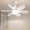 Socket Fan Light with Remote Control Ceiling Fan with Light (52cm Round Blades) (D) [Energy Class A]