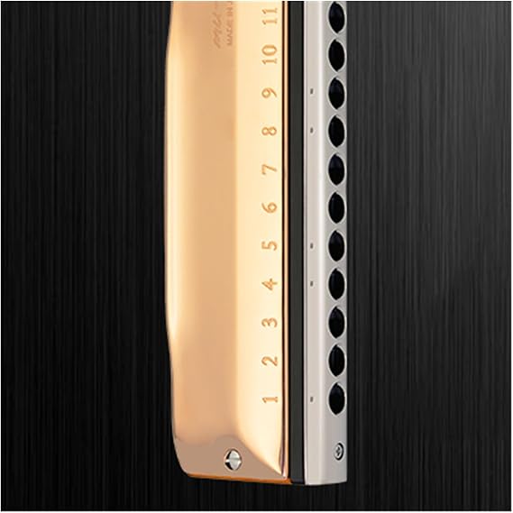 Chromatic harmonica 12 holes performance professional performance grade chromatic harmonica