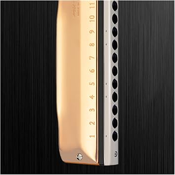 Chromatic harmonica 12 holes performance professional performance grade chromatic harmonica