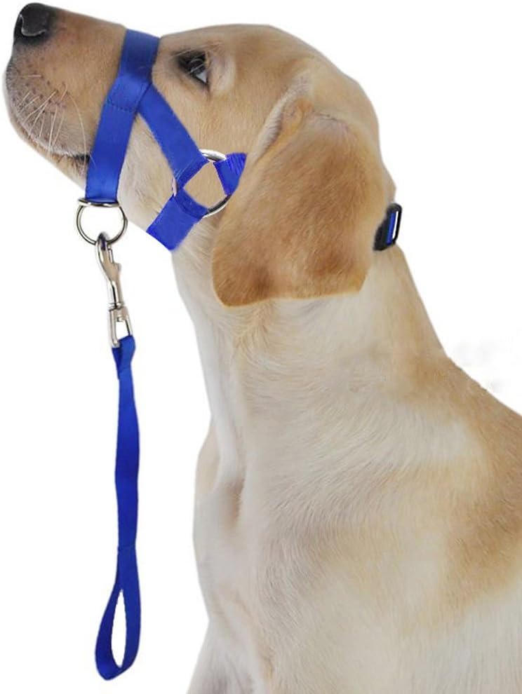 Open INnoVation Headcollar for Dog Head Collar to Prevent Dog Bite (S, Blue)