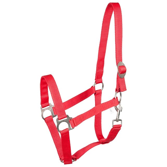 PFIFF 101668 Halfter, Kunststoffhalfter Pferdehalfter Stallhalfter Weidehalfter, Rot, COB