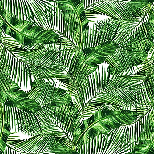 Papier peint tropical auto-adhésif Coloray pour masquer les défauts d'un mur - 3