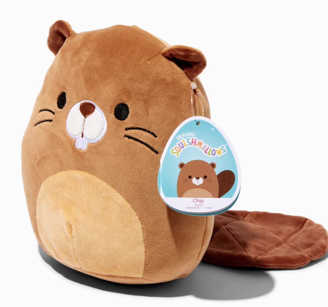 black teddy bear poodle