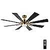 WINGBO 60" DC Ceiling Fan with Lights and Remote Control, Gold and Black Ceiling Fan, 8 Plywood Blades, 6-Speed Reversible DC Motor, Modern Ceiling Fans Indoor for Kitchen Bedroom Living Room