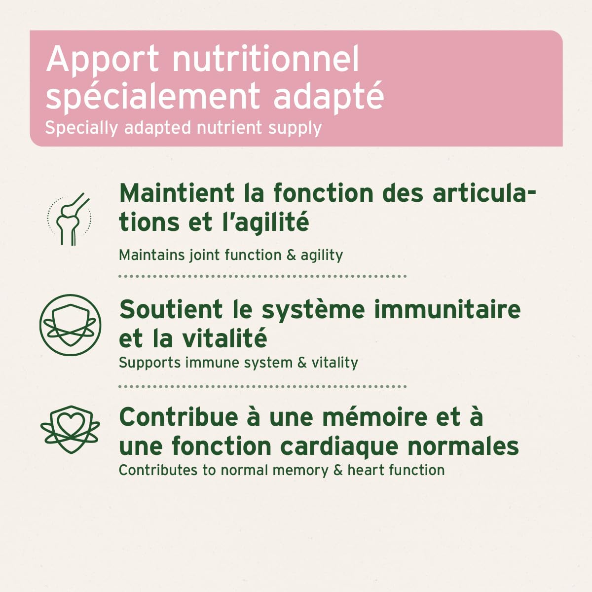 AniForte Senior Active - Minéraux et vitamines pour Les Chiens Senior, soutient la mémoire et la Fonction Cardiaque (250g)