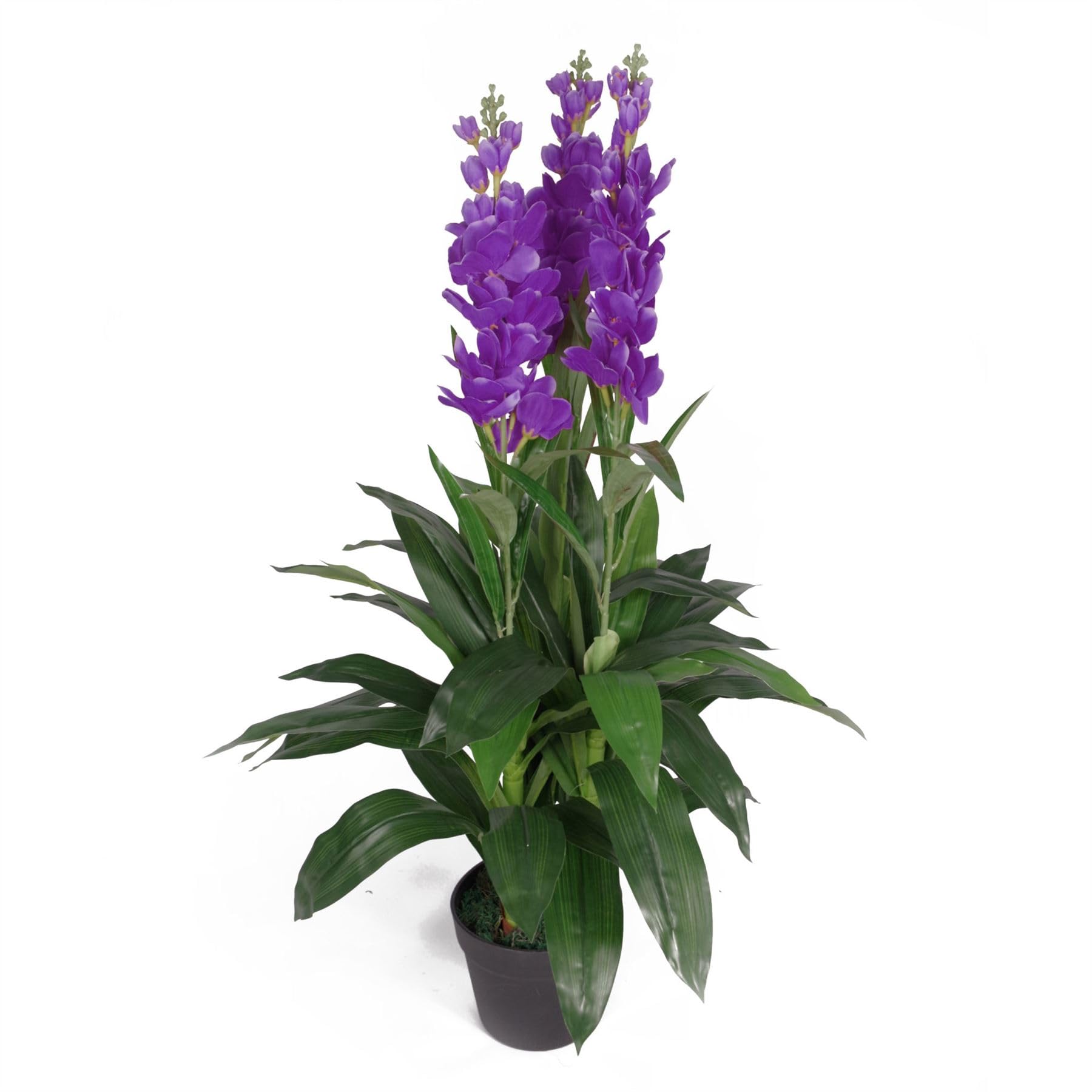 Leaf Feuille d'Orchidée Artificielle Cymbidium - Pot en Plastique Noir - Fleurs Blanches - 100 cm