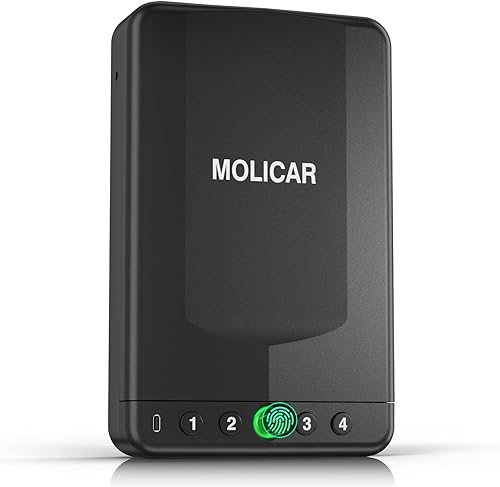 Caja fuerte para pistola de mano pequeña biométrica, caja de seguridad portátil para pistola con acceso rápido por huellas dactilares, caja de