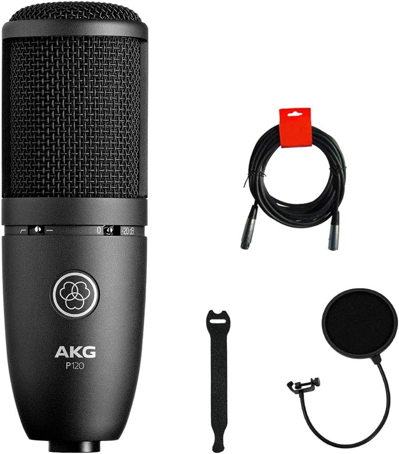 AKG Ara USB Condenser Microphone