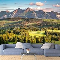 Wall Mural Landscape View of Forest and Mountain Removable Self-Adhesive Wallpaper Wall Decoration for Bedroom Living Room - 66x96 inches