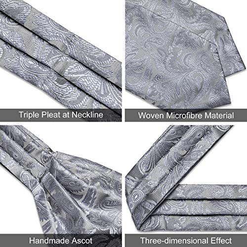 Image of DiBanGu 3PCS Ascot Ties for Men Wedding Jacquard Woven Silk Ascot Cravat for Men Cravat Tie and Pocket Square Set