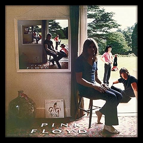 Pink Floyd Ummagumma Framed Album Cover Cover