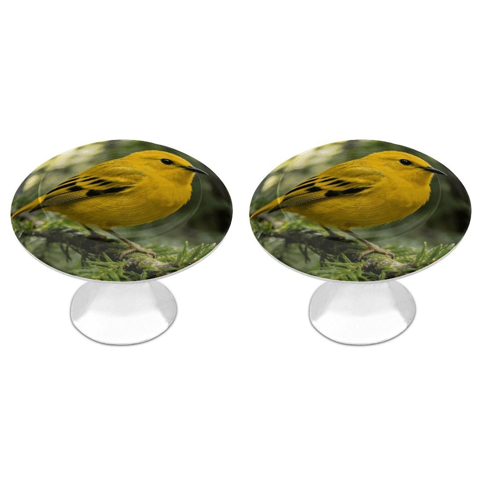 FekiLoot Warbler Cabinet Knob Kitchen Drawer Knob Stainless Steel Round Drawer Pulls Modern Cabinet Hardware Vintage Dresser Drawer for Kitchen Bathroom Closet Dresser Cabinets