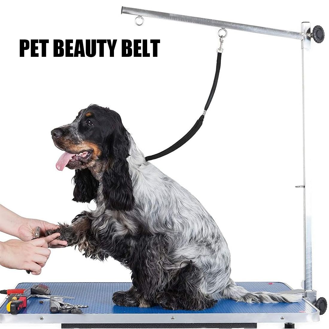 Guinzaglio Da Toelettatura Per Cani - 2 Pezzi, In Nylon, Regolabile, Per Bagno E Cura - Foto 6