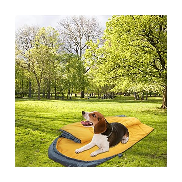 Lifeunion-Dog-Sleeping-Bag-with-Storage-Bag-Waterproof-Warm-Packable-Dog-Bed-for-Travel-Camping-Hiking-Backpacking-GreyOrange Lifeunion Dog Sleeping Bag: The Ultimate Outdoor Dog Bed