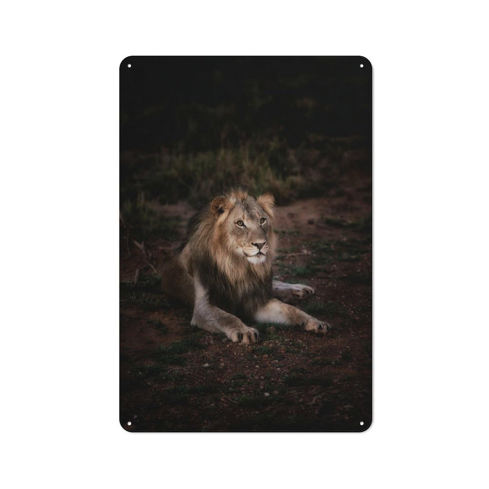 Nostalgic Decorative Tin Plaque 30x20cm Featuring Majestic Lion in The Wild, Classic Pub Decor for Cafe, Pub, Workshop Or Home Bar