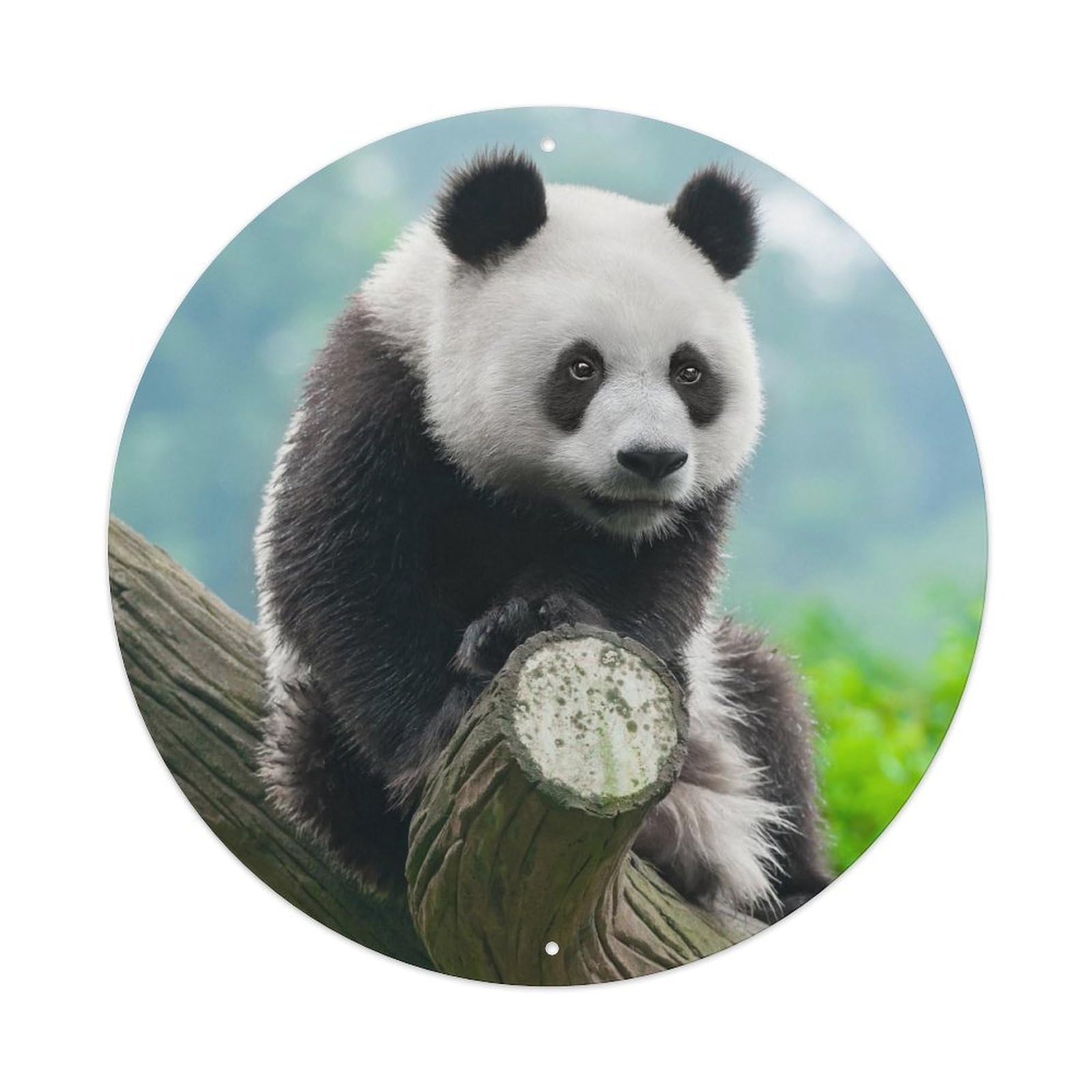 Animal Giant Panda Sitting on A Tree Metal Tin Sign