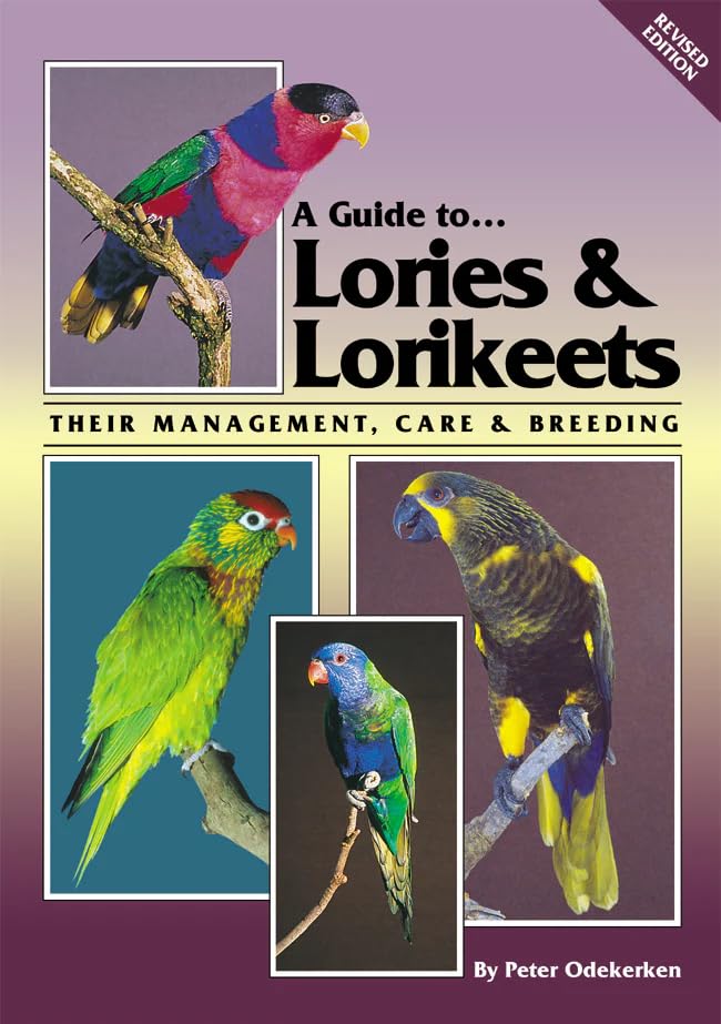 A Guide to Lories and Lorikeets