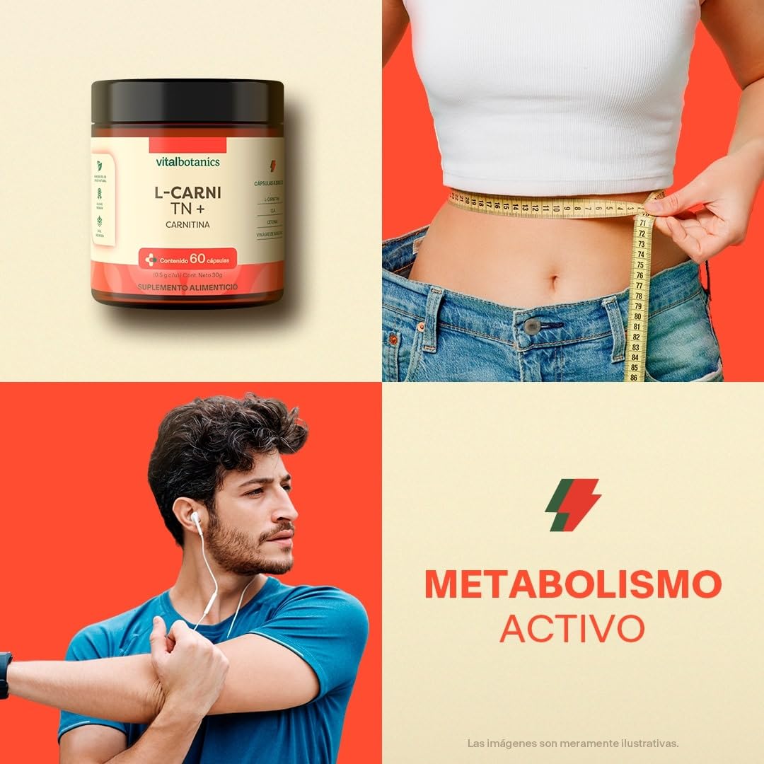 recommended daily dose of l-carnitine PDF) Effective dosing of L-carnitine in the secondary prevention of cardiovascular disease: a systematic review and meta-analysis