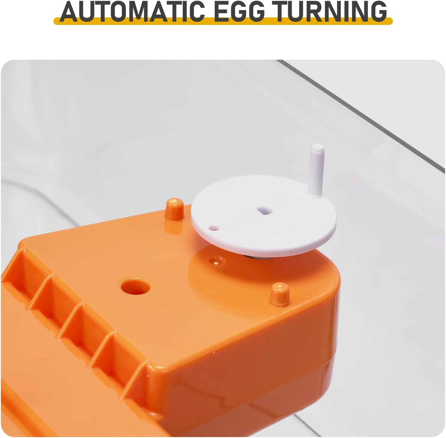 56H 56-Egg Incubator for Poultry, Automatic Egg Turner with Upgraded LED Egg Candler, Auto Temp & Humidity Control (Fahrenheit Display), 110V US Plug, ABS+PET (Orange-White) with Multi-Function Strip