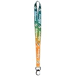 NFL Miami Dolphins Ombre Lanyard, Green