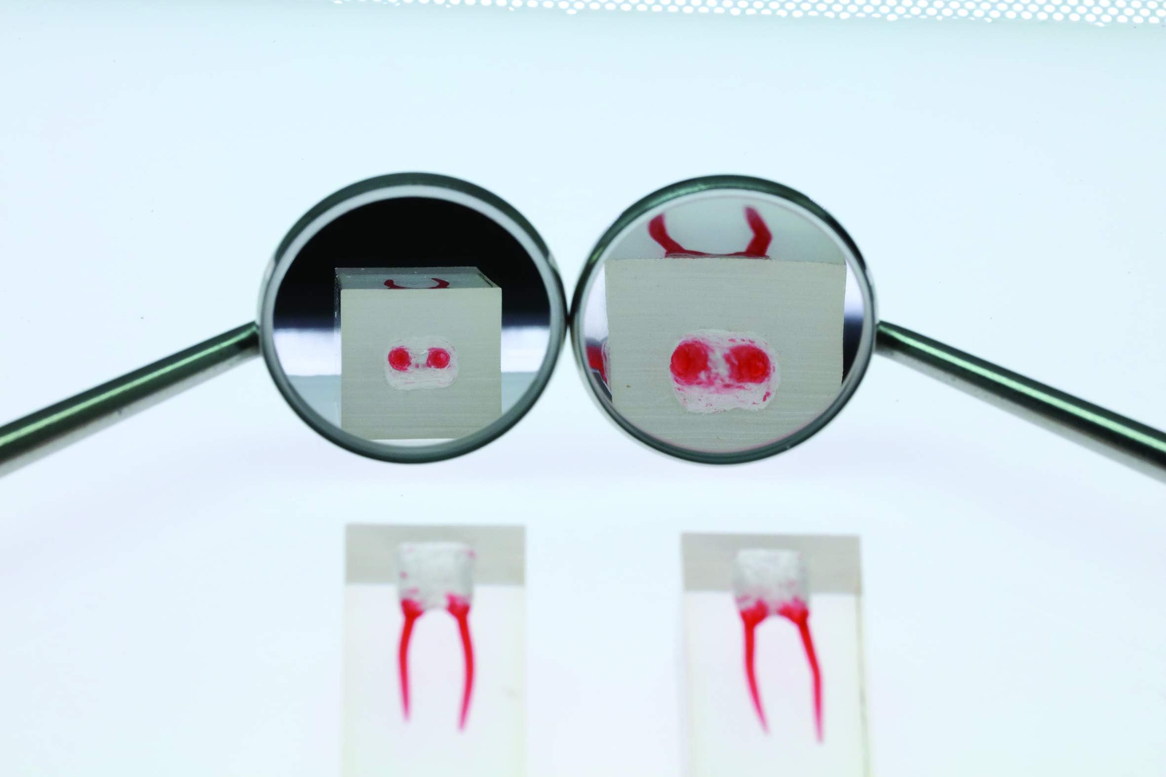 Magnifying Dental Mirror #4, 3X Magnification with Non-Slip Metal Handle