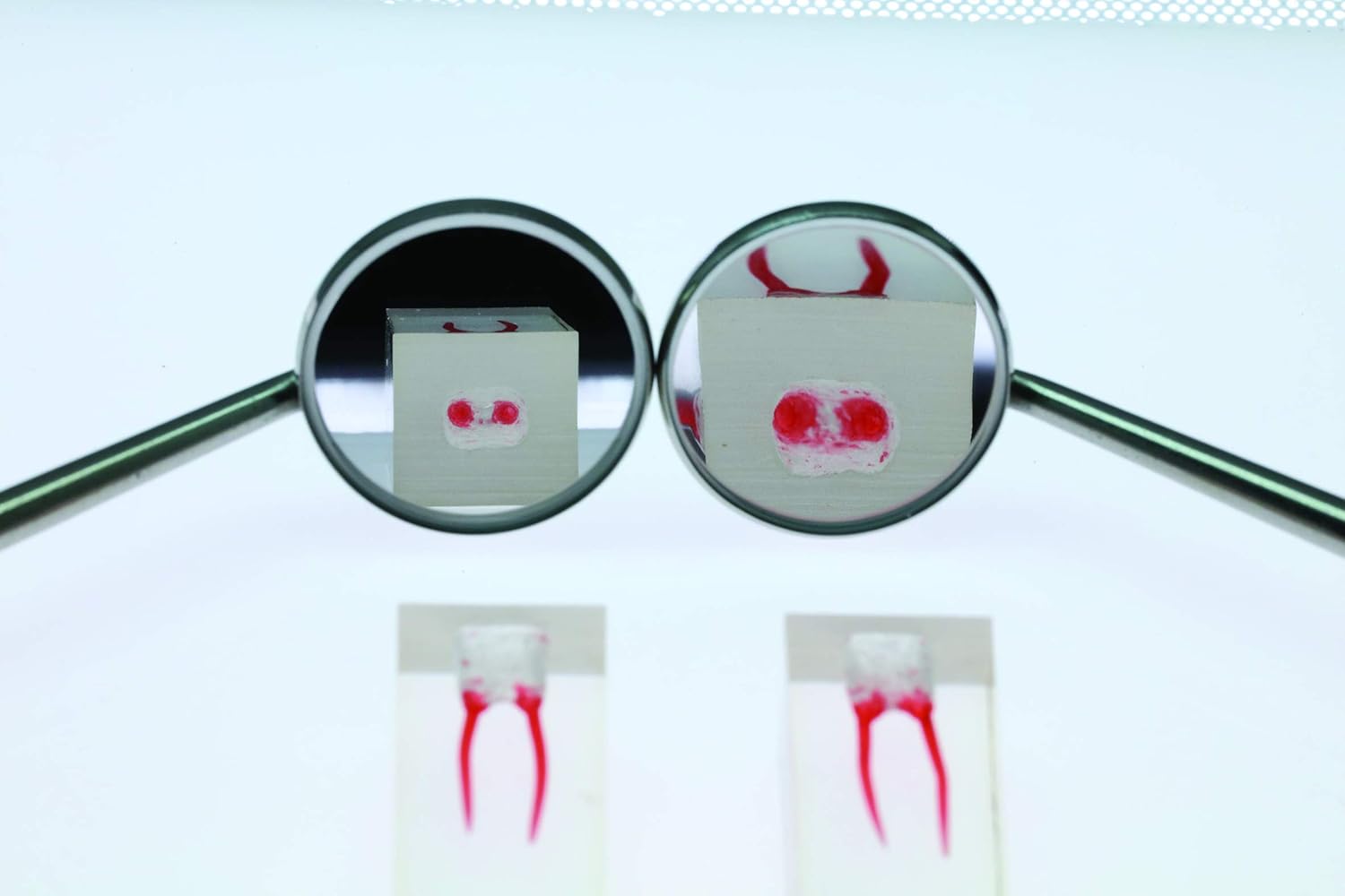 Magnifying Dental Mirror #4, 3X Magnification with Non-Slip Metal Handle